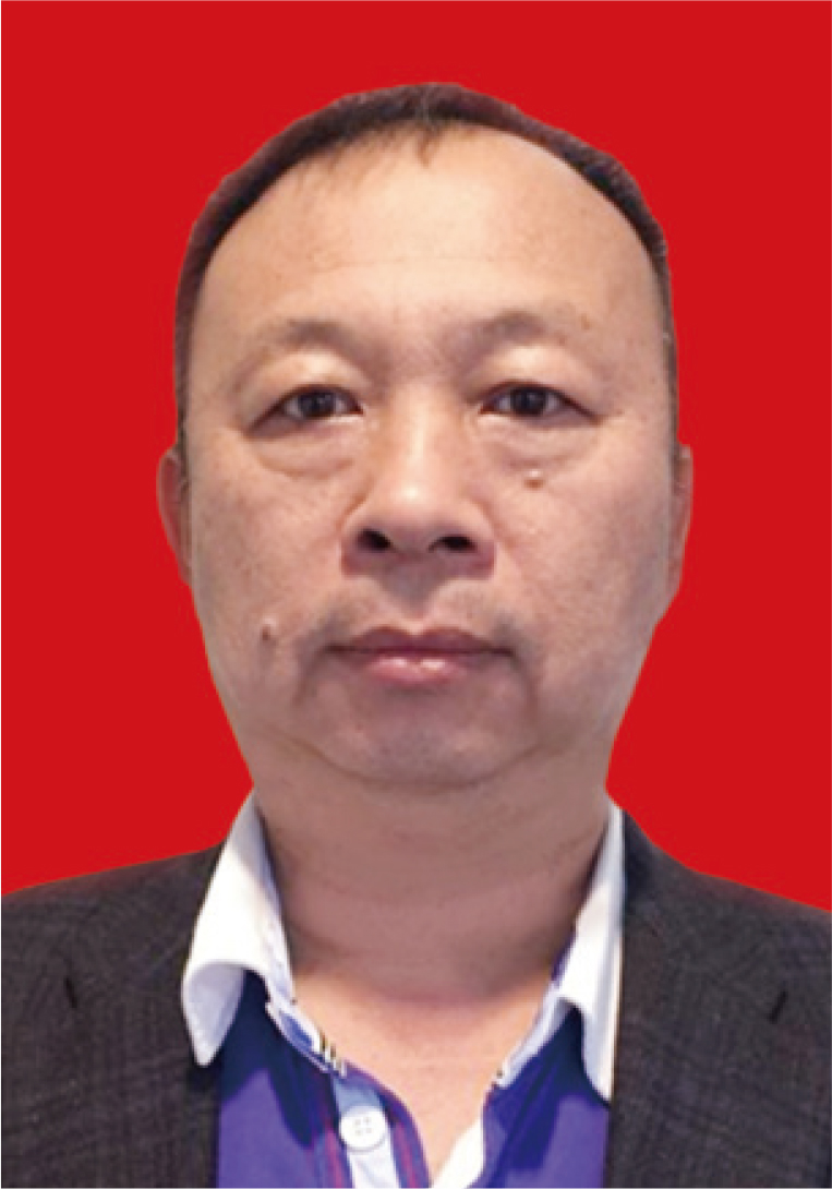 陈伟 副会长