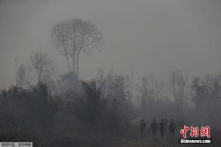 印尼霾害严重影响经济 总统：解决需要时间(图)