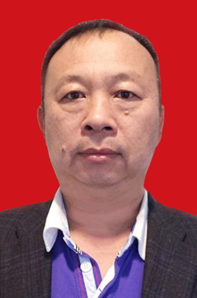 陈伟 副会长