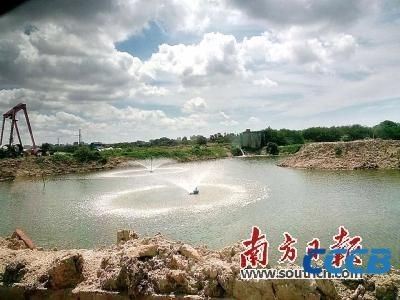 陆丰毒村现状村民不再幻想一夜暴富