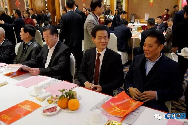 人大常委会,市政府,市政协在家领导,老同志林兴胜,刘峰,彭启安,罗仰鹏